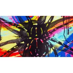 FUNKITA Costume Da Bagno Incy Wincy 11 FUNKITA Costume Da Bagno Incy Wincy -Speedo Italia funkita costume da bagno incy wincy 4