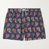 Shorts Da Mare A Gamba Dritta In Shell Con Stampa Paisley