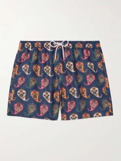 Shorts Da Mare A Gamba Dritta In Shell Con Stampa Paisley