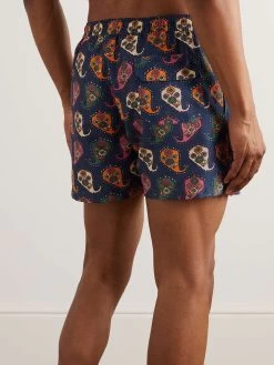 Shorts Da Mare A Gamba Dritta In Shell Con Stampa Paisley 8 Shorts Da Mare A Gamba Dritta In Shell Con Stampa Paisley -Speedo Italia w2000 q60 161